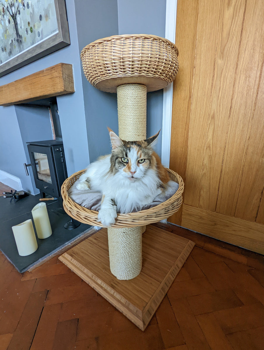 Round Tapered Cat Basket Luxurious wicker cat bed TT Luxury Cat Towers