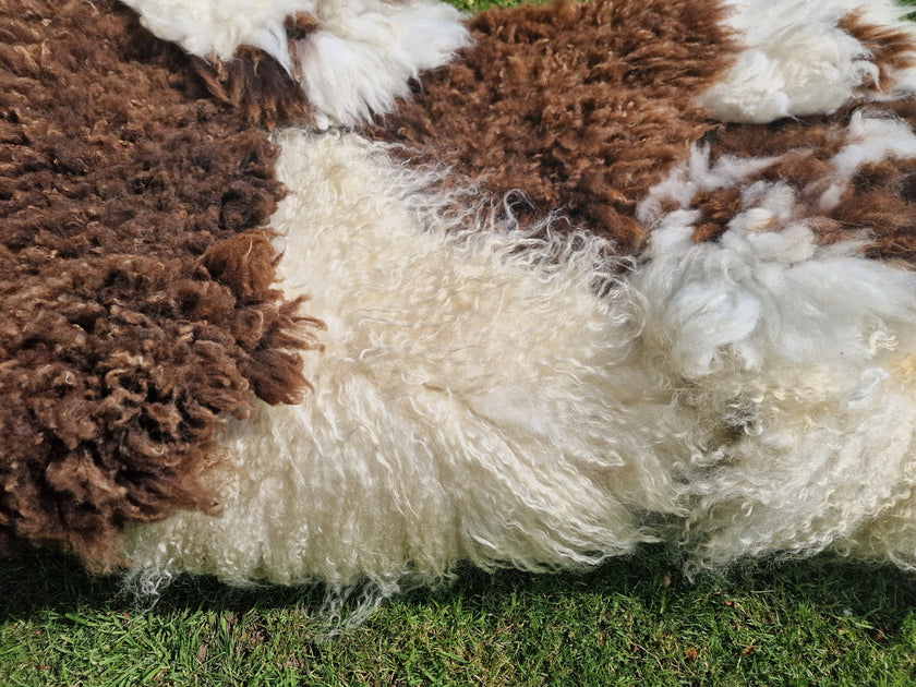 Baa Baa Sheep Fleeces TT Luxury Cat Towers